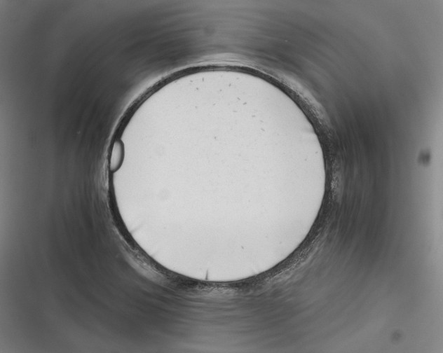 X0000116641372201001111159