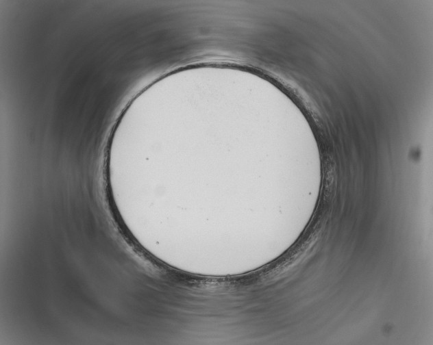 X0000116641375201001111159