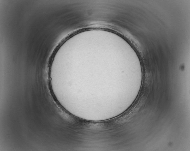 X0000116641376201001111159