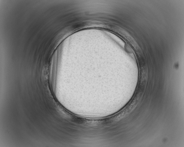 X0000116641377201001111159