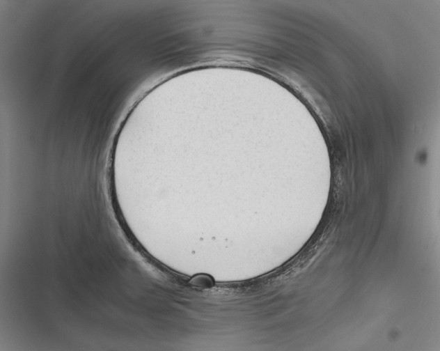 X0000116641379201001111159