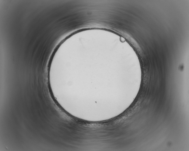 X0000116641380201001111159