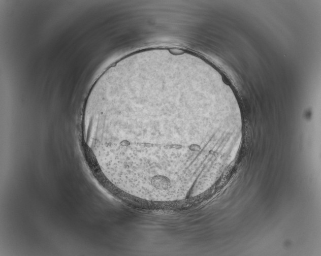 X0000116641383201001111159