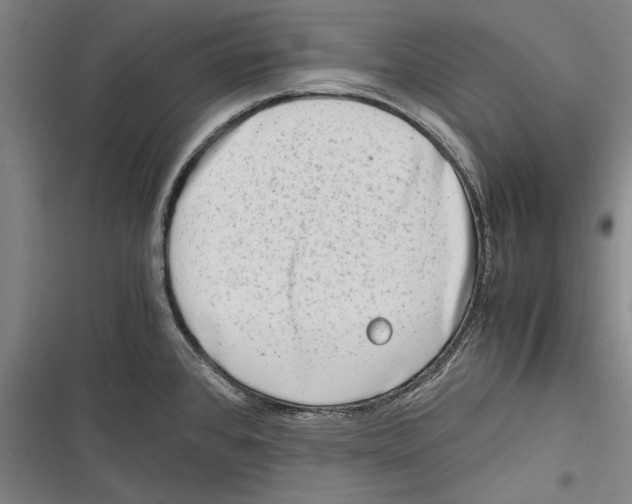 X0000116641384201001111159