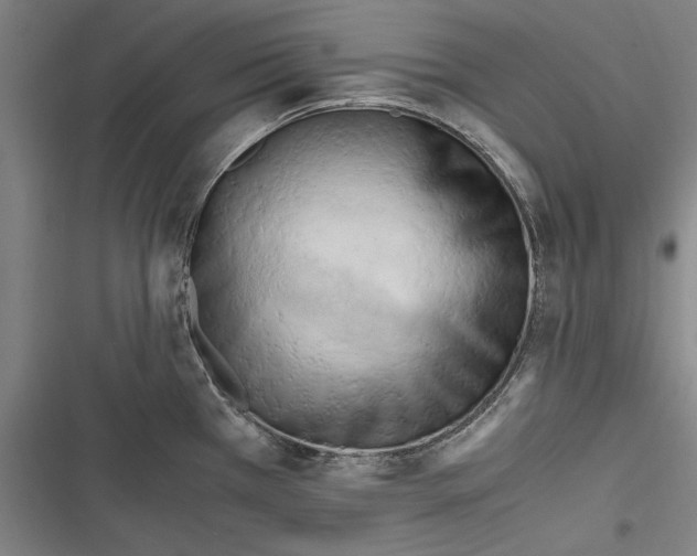 X0000116641385201001111159