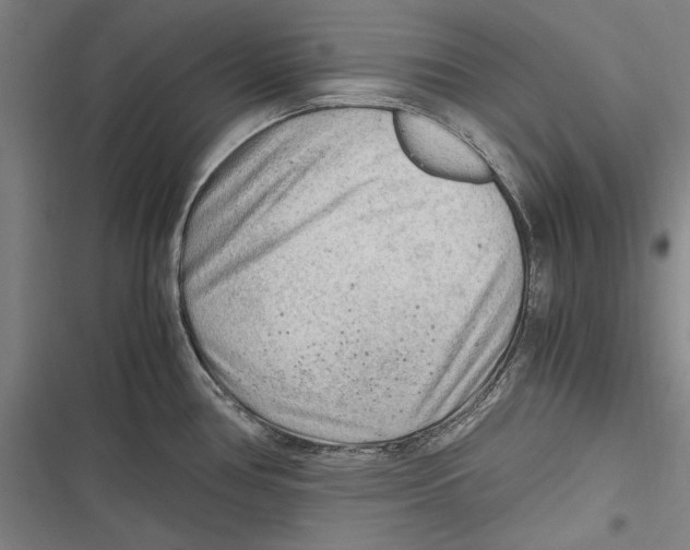 X0000116641386201001111159