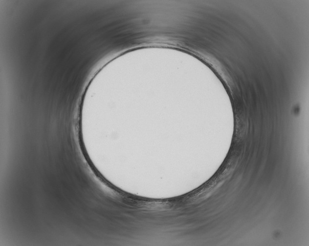 X0000116641387201001111159