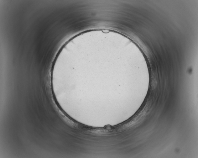 X0000116641388201001111159