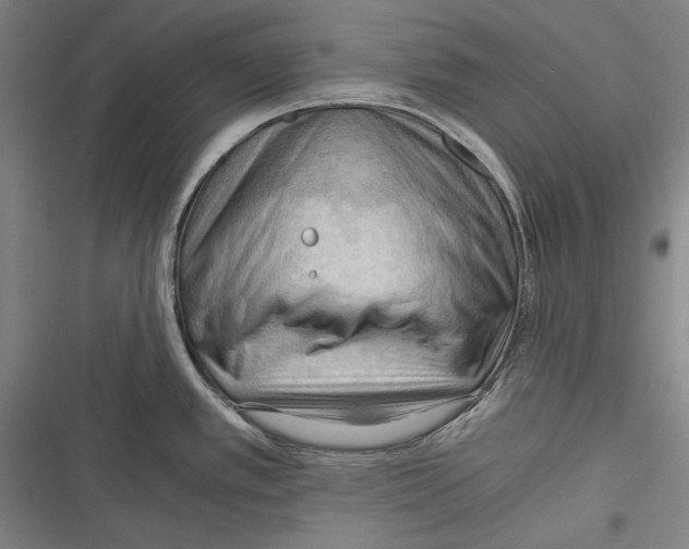 X0000116641389201001111159