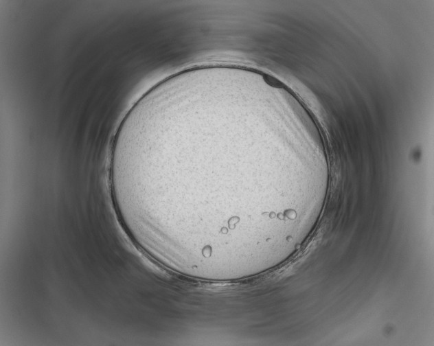 X0000116641390201001111159