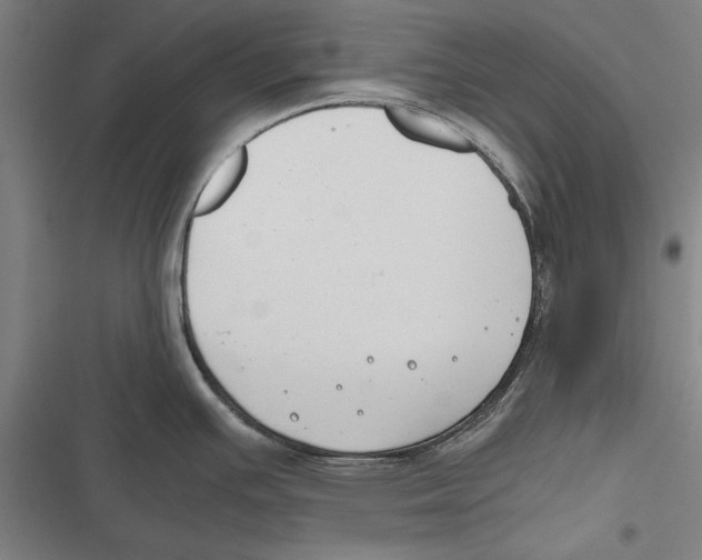 X0000116641391201001111159