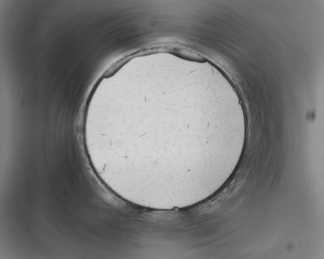 X0000116641392201001111159