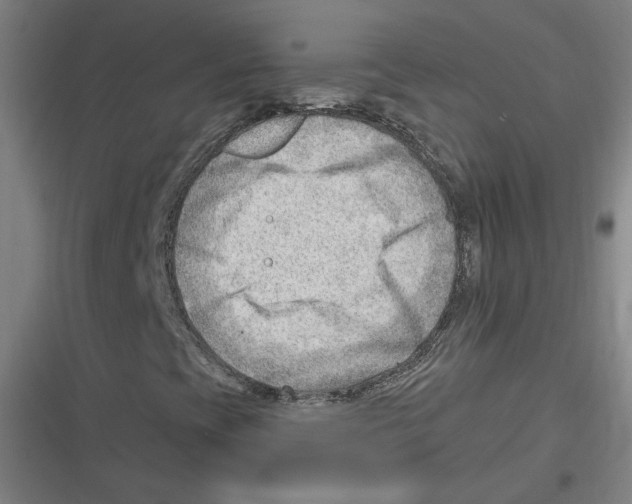 X0000116641393201001111158