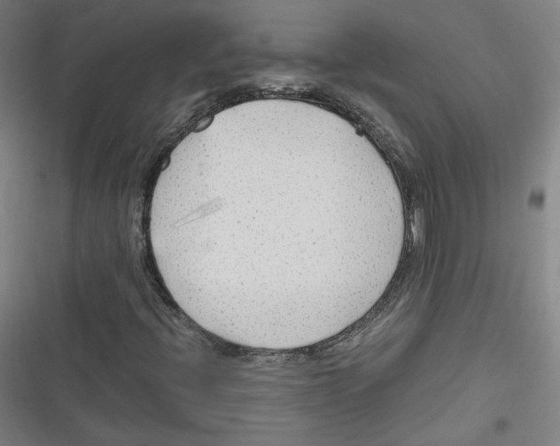 X0000116641396201001111158