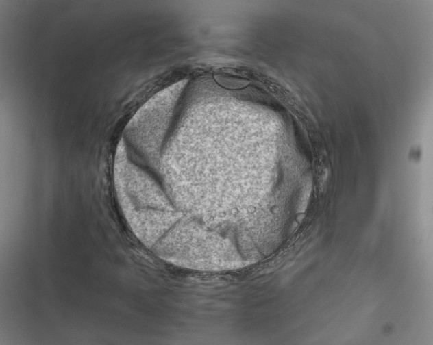 X0000116641397201001111158