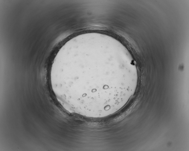 X0000116641402201001111158