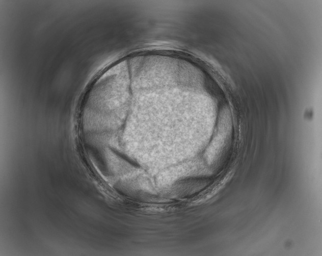 X0000116641405201001111158