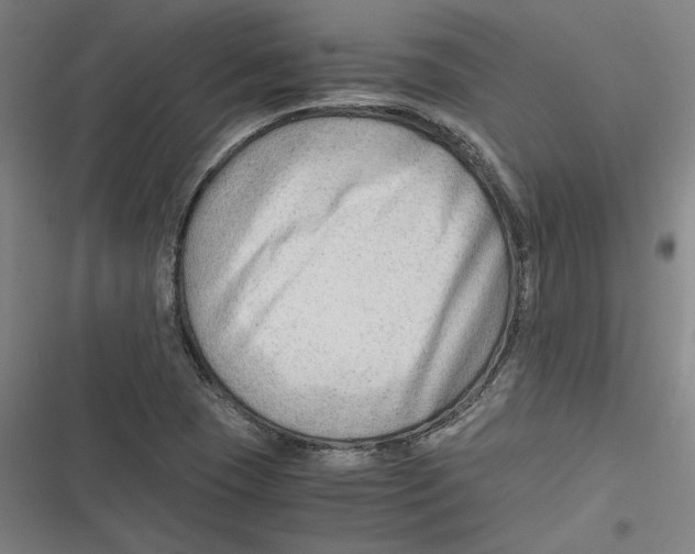 X0000116641409201001111158