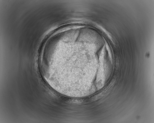 X0000116641411201001111158