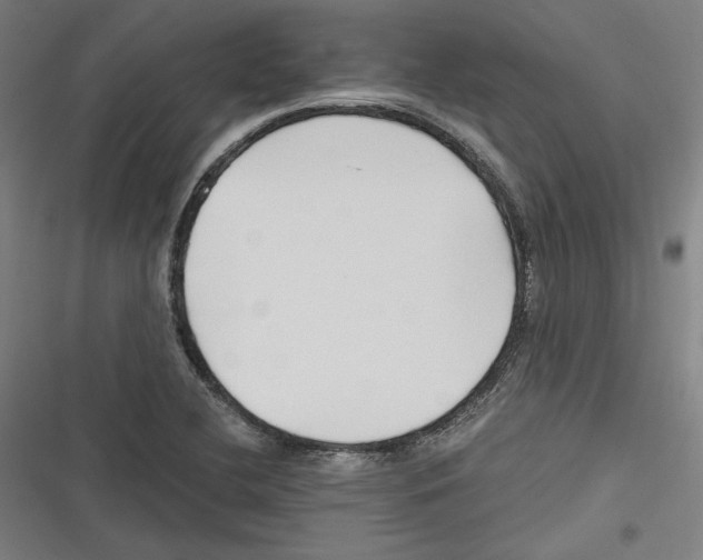 X0000116641412201001111158