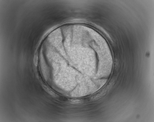 X0000116641413201001111158