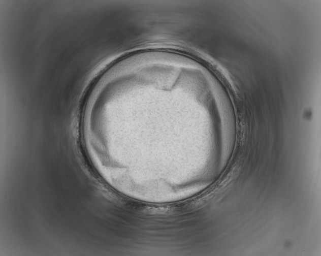 X0000116641415201001111158