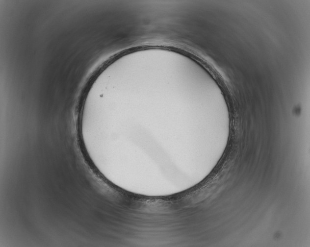 X0000116641416201001111158