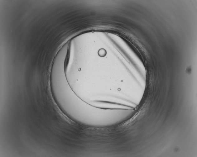 X0000116641417201001111158