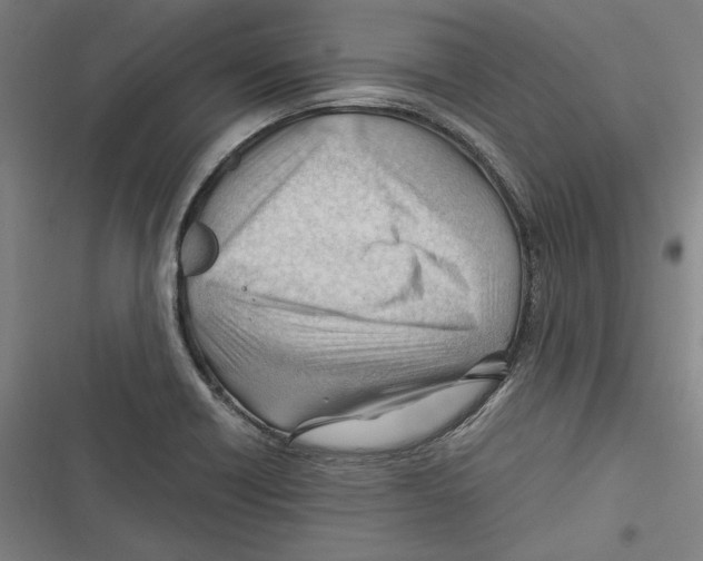 X0000116641418201001111158