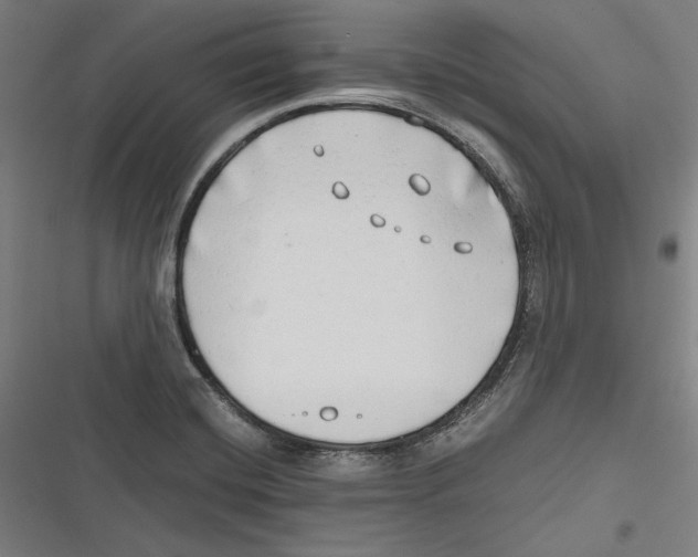 X0000116641420201001111158