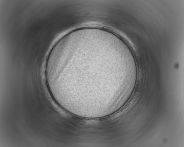 X0000116641421201001111159