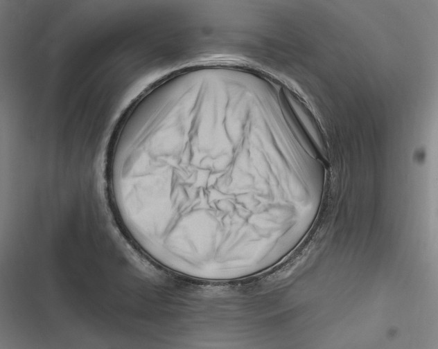 X0000116641422201001111159