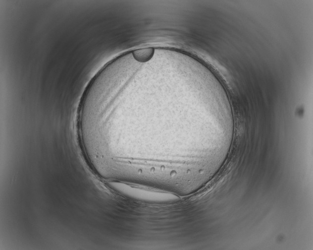 X0000116641423201001111159