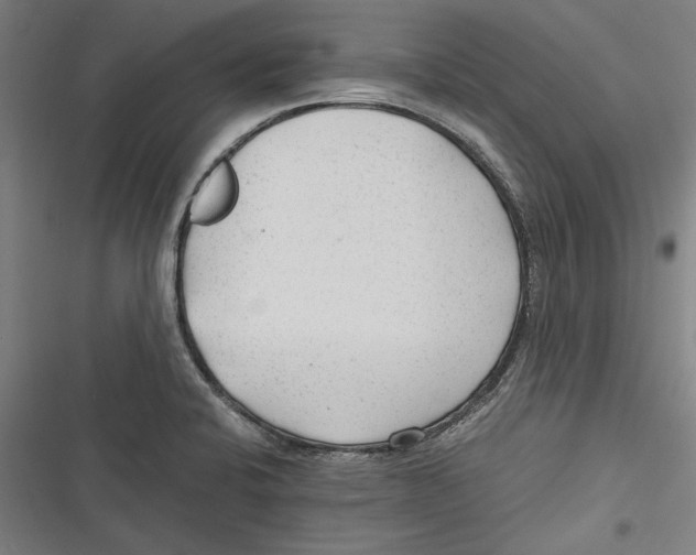 X0000116641424201001111159