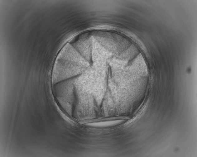 X0000116641425201001111159