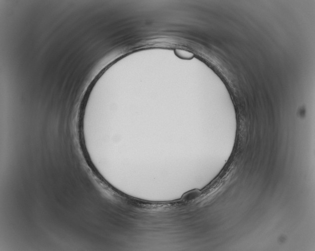 X0000116641426201001111159