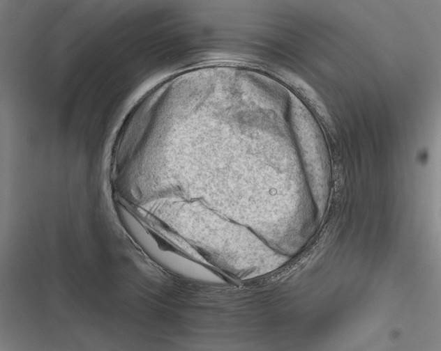 X0000116641427201001111159