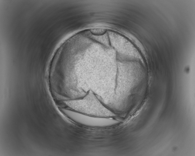 X0000116641429201001111159