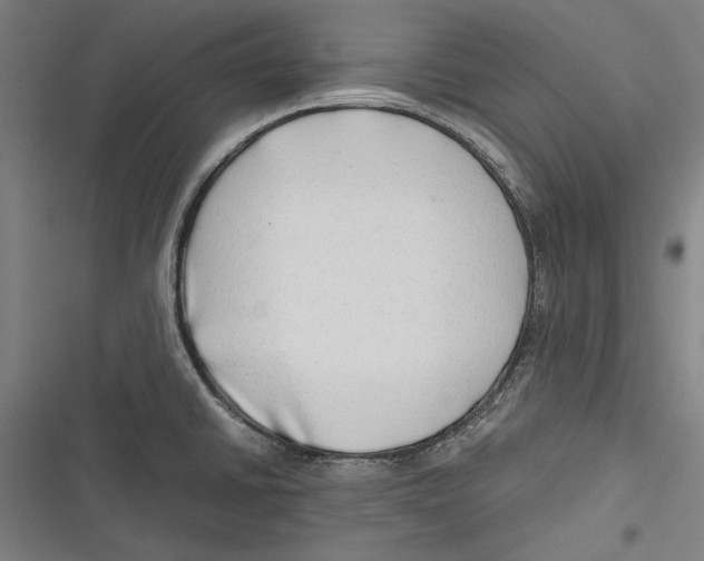 X0000116641430201001111159