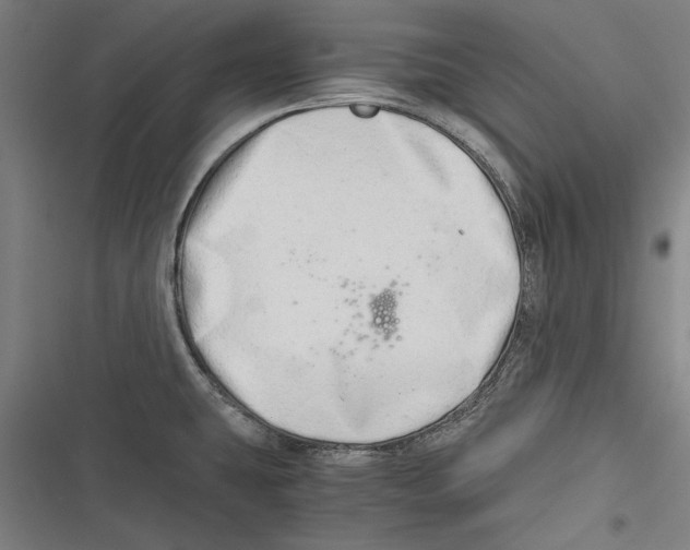 X0000116641431201001111159