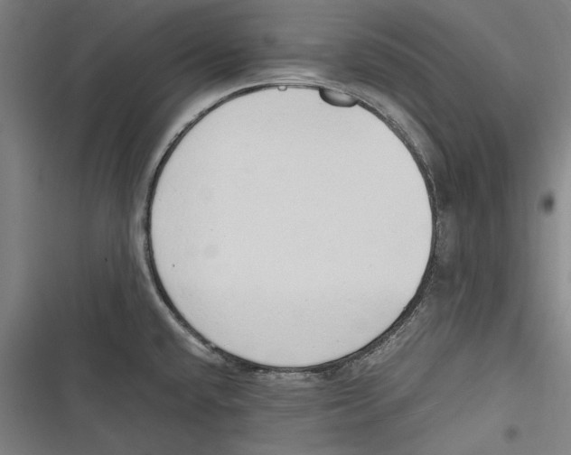 X0000116641432201001111159