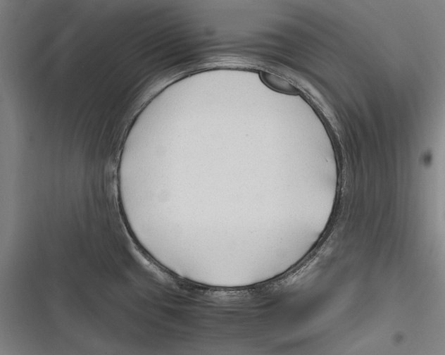 X0000116641433201001111159