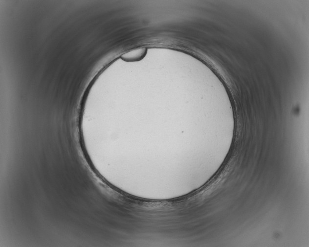 X0000116641434201001111159