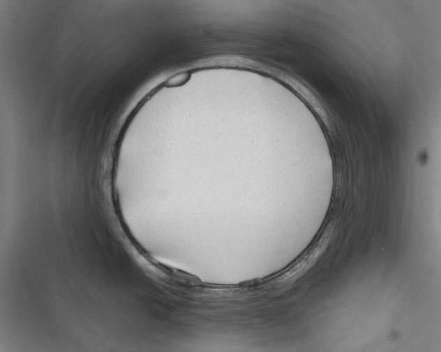 X0000116641438201001111159