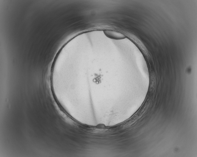 X0000116641439201001111159