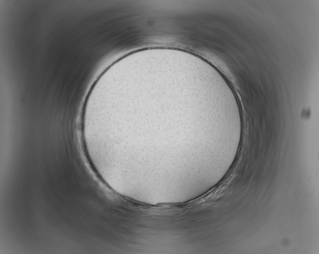 X0000116641440201001111159