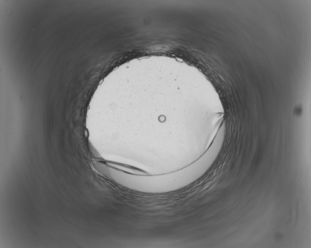 X0000116641441201001111158