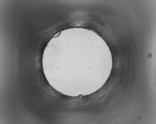 X0000116641442201001111158