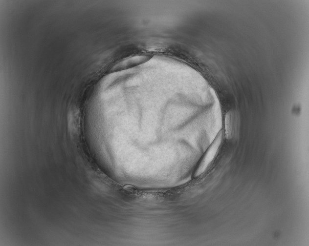 X0000116641443201001111158