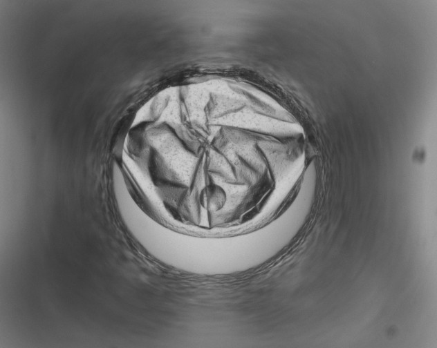 X0000116641445201001111158